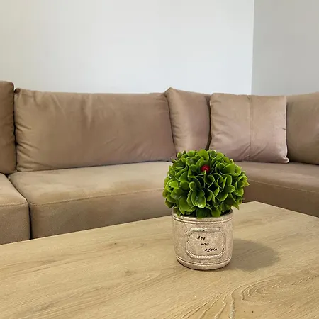 Family Oasis 公寓 格勒姆